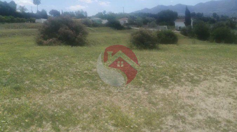 Málaga - Cártama - 11000m2