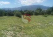 Non-developable land for sale on España, Cártama, ref: TR247686 photo