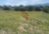 Non-developable land for sale on España, Cártama, ref: TR247686 photo