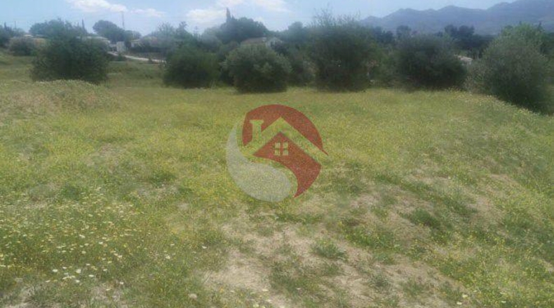 Málaga - Cártama - 11000m2