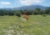 Non-developable land for sale on España, Cártama, ref: TR247686 photo