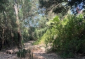 Casa de camp amb terreny en venda a la España, Vejer de la Frontera, ref.: TR315294 foto