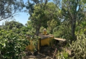 Casa de camp amb terreny en venda a la España, Vejer de la Frontera, ref.: TR315294 foto