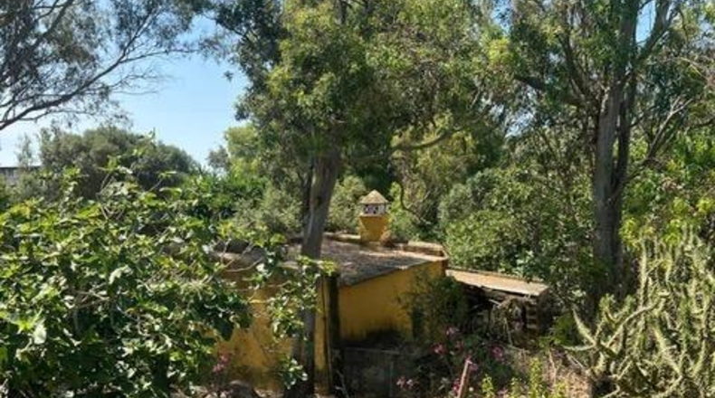 Cádiz - Vejer de la Frontera - 2205m2