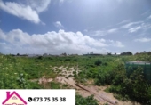 Parcel·la urbanitzable en venda a la España, Sanlúcar de Barrameda, ref.: TR239490 foto