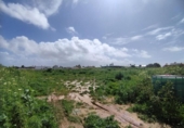 Parcel·la urbanitzable en venda a la España, Sanlúcar de Barrameda, ref.: TR239490 foto