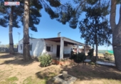 Chalet independiente con terreno en venta en la España, Alcázar de San Juan, ref: TR222232 foto