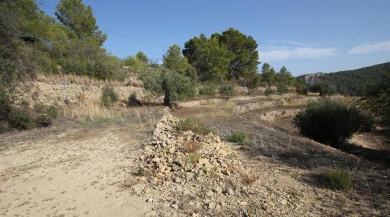 Alicante - Benisa - 19723m2