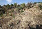 Terreny no urbanitzable en venda a la España, Benissa, ref.: TR317015 foto