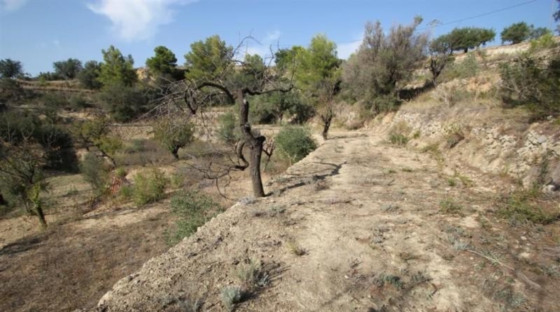 Alicante - Benisa - 19723m2