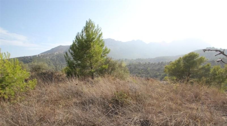 Alicante - Benisa - 19723m2