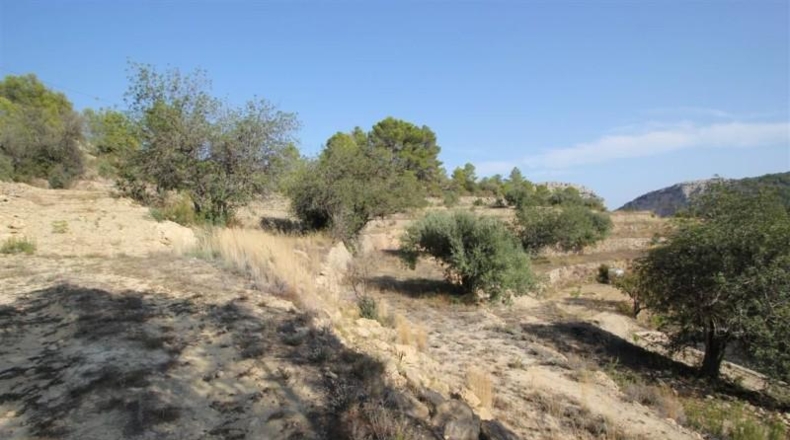 Alicante - Benisa - 19723m2