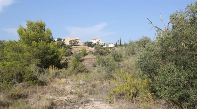 Alicante - Benisa - 19723m2