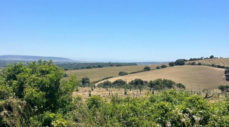 Cádiz - Jerez de la Frontera - 15000m2