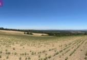 Terreny no urbanitzable en venda a la España, Vejer de la Frontera, ref.: TR282613 foto