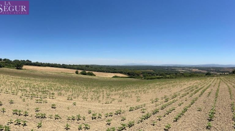 Cádiz - Jerez de la Frontera - 15000m2