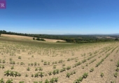 Terreny no urbanitzable en venda a la España, Vejer de la Frontera, ref.: TR282613 foto