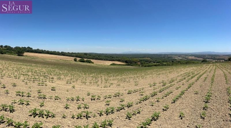 Cádiz - Jerez de la Frontera - 15000m2