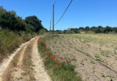 Terreny no urbanitzable en venda a la España, Vejer de la Frontera, ref.: TR282613 foto