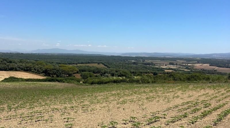 Cádiz - Jerez de la Frontera - 15000m2
