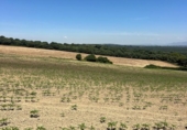 Terreny no urbanitzable en venda a la España, Vejer de la Frontera, ref.: TR282613 foto