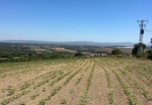 Terreny no urbanitzable en venda a la España, Vejer de la Frontera, ref.: TR282613 foto