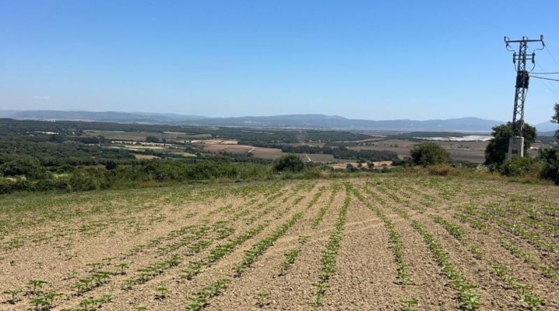 Cádiz - Jerez de la Frontera - 15000m2