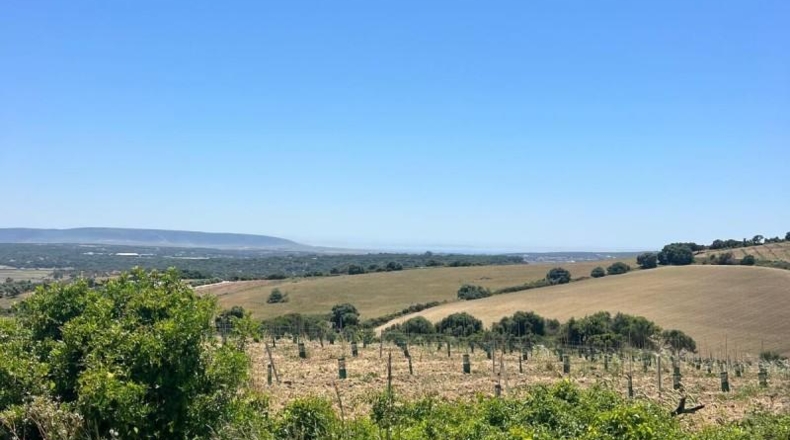 Cádiz - Jerez de la Frontera - 15000m2