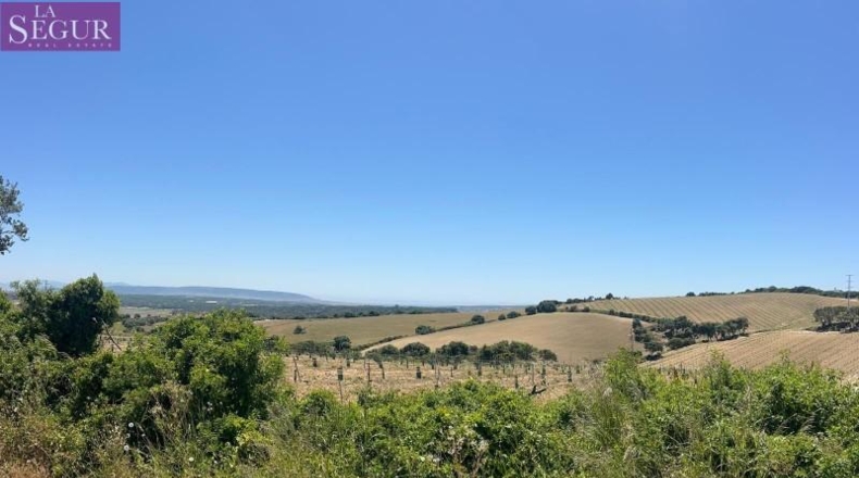 Cádiz - Jerez de la Frontera - 15000m2
