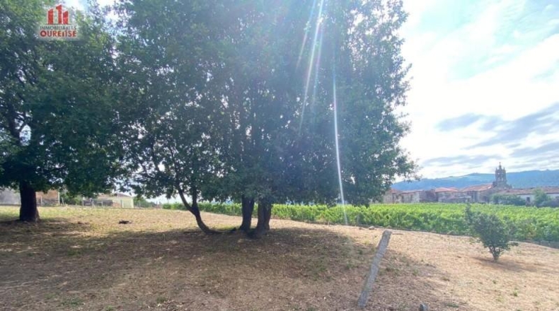 Orense - Barral - 4000m2