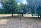 Parcel·la urbanitzable en venda a la España, Castrelo, ref.: TR118344 foto