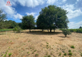 Parcel·la urbanitzable en venda a la España, Castrelo, ref.: TR118344 foto