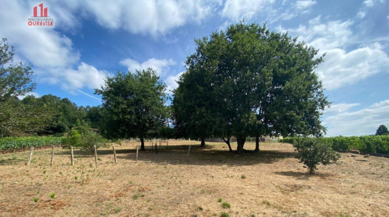 Orense - Barral - 4000m2