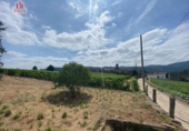 Parcel·la urbanitzable en venda a la España, Castrelo, ref.: TR118344 foto