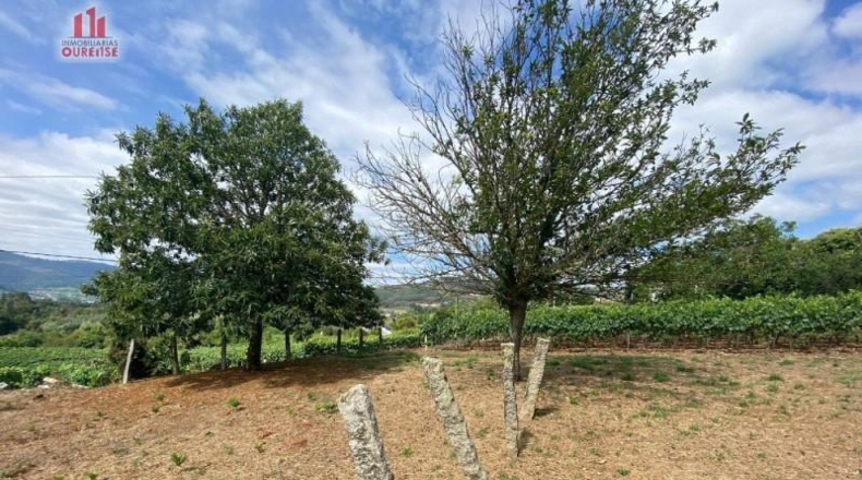 Orense - Barral - 4000m2