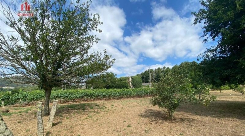 Orense - Barral - 4000m2