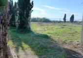 Non-developable land for sale on España, Oliva, ref: TR232232 photo