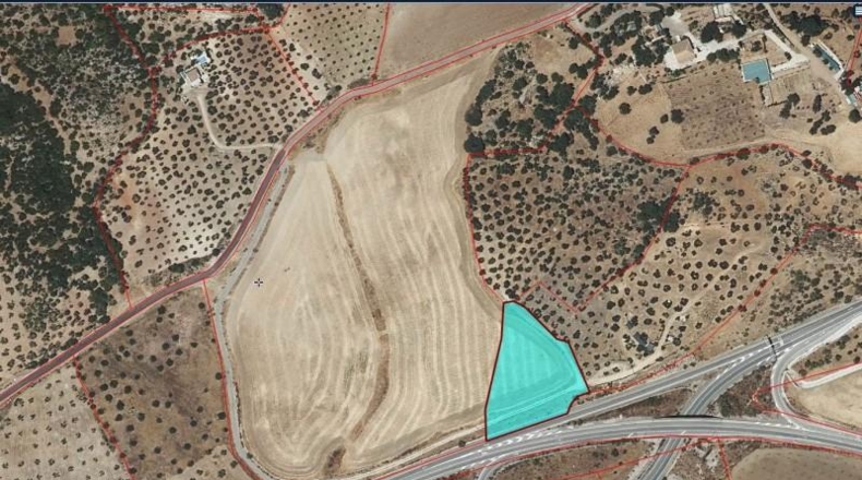Cádiz - Algodonales - 65000m2
