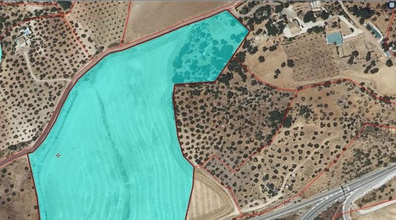 Cádiz - Algodonales - 65000m2