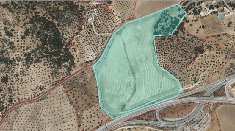 Cádiz - Algodonales - 65000m2