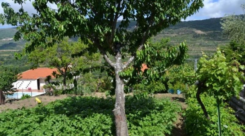 Cáceres - Valdastillas - 90m2