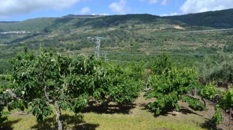 Cáceres - Valdastillas - 90m2