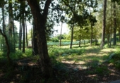 Sòl urbà en venda a la España, Gondomar, ref.: TR114624 foto