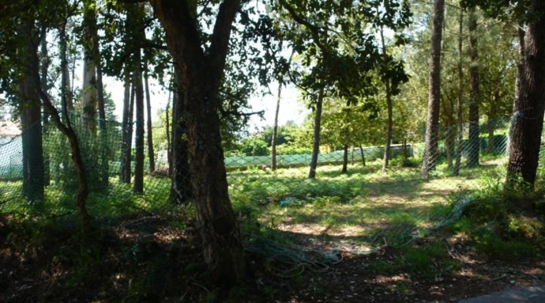 Pontevedra - Gondomar - 695m2