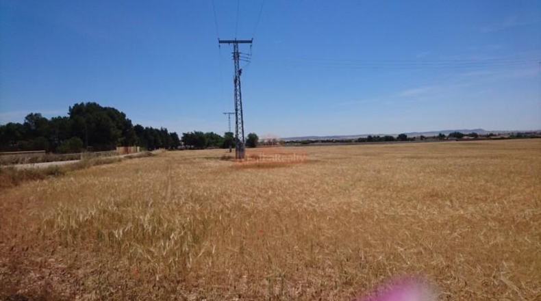 Albacete - Albacete - 44000m2