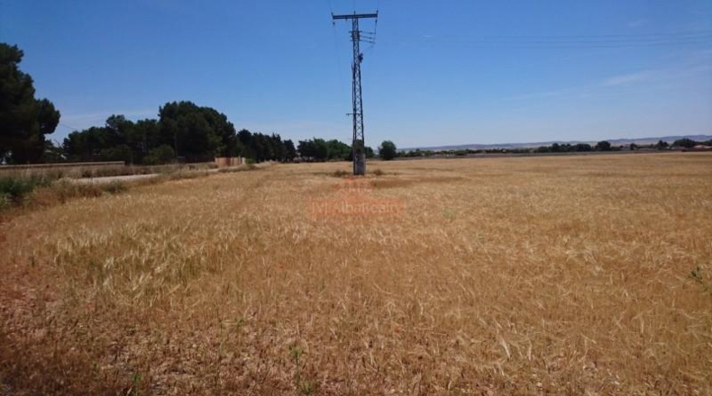 Albacete - Albacete - 44000m2