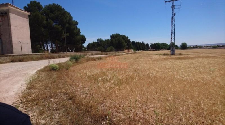 Albacete - Albacete - 44000m2
