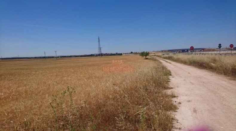 Albacete - Albacete - 44000m2