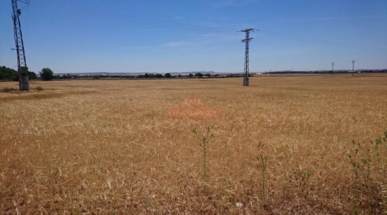 Albacete - Albacete - 44000m2