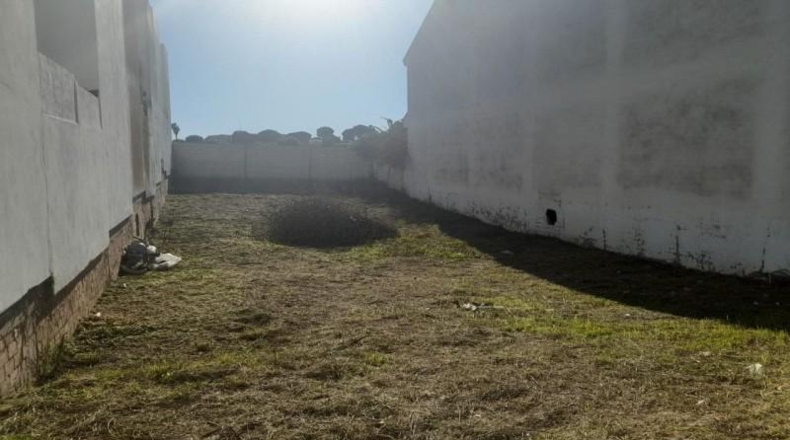 Cádiz - Benalup-Casas Viejas - 426m2